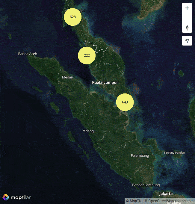 MapTiler Example